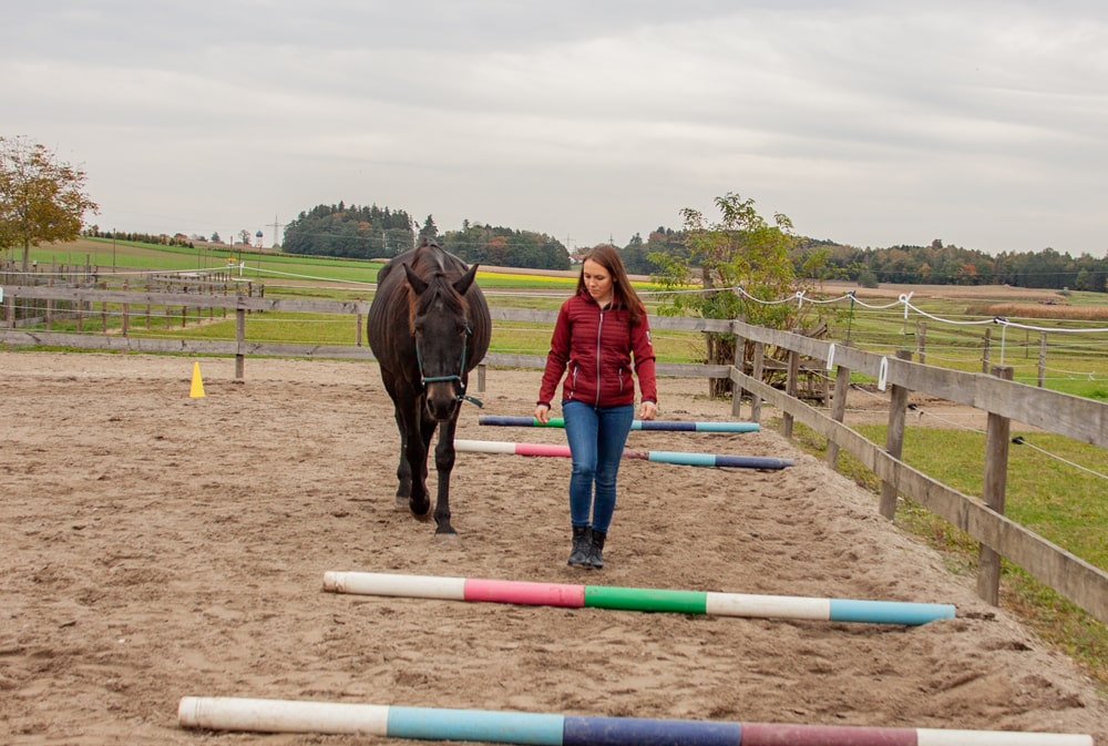 Uli-Jonas-Heilpraktikerin-Pferdegestützte-Therapie-Therapeutisches-Reiten-Persönlichkeitsentwicklung-Coaching-mit-Pferden-München-Bayern-1-min