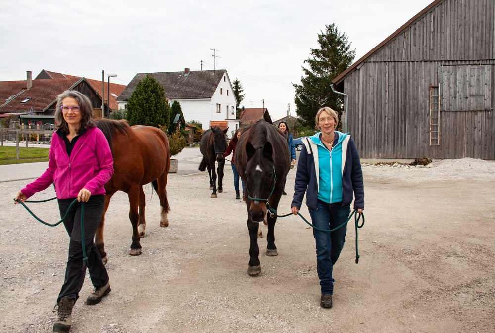 Uli-Jonas-Heilpraktikerin-Pferdegestützte-Therapie-Therapeutisches-Reiten-Persönlichkeitsentwicklung-Coaching-mit-Pferden-München-Bayern-6-min